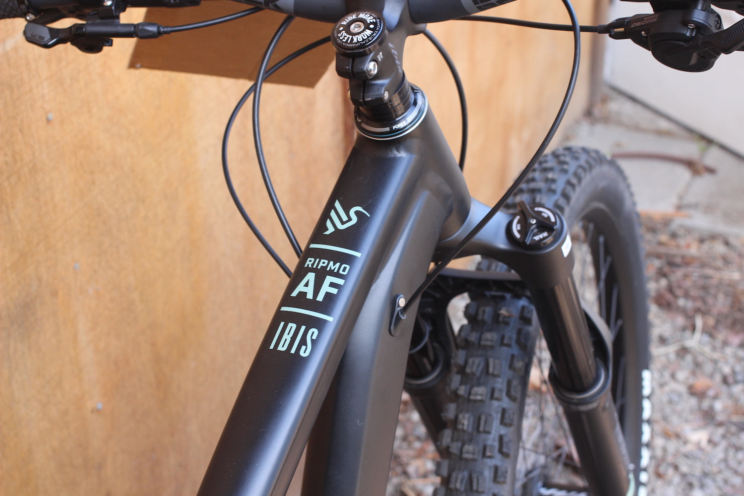 Ibis Ripmo AF - 2025 - Large