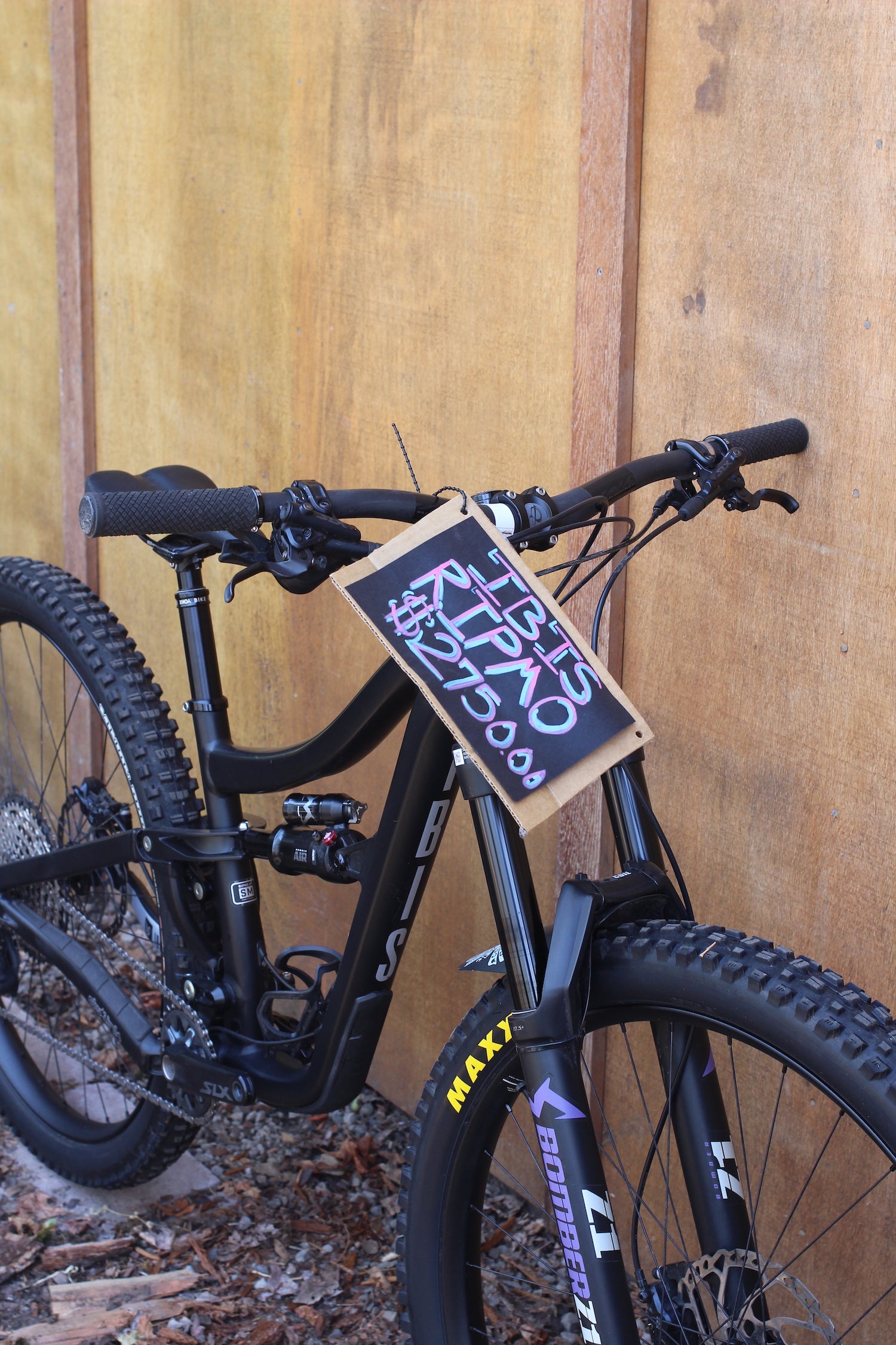 Ibis Ripmo AF - 2025 - Small