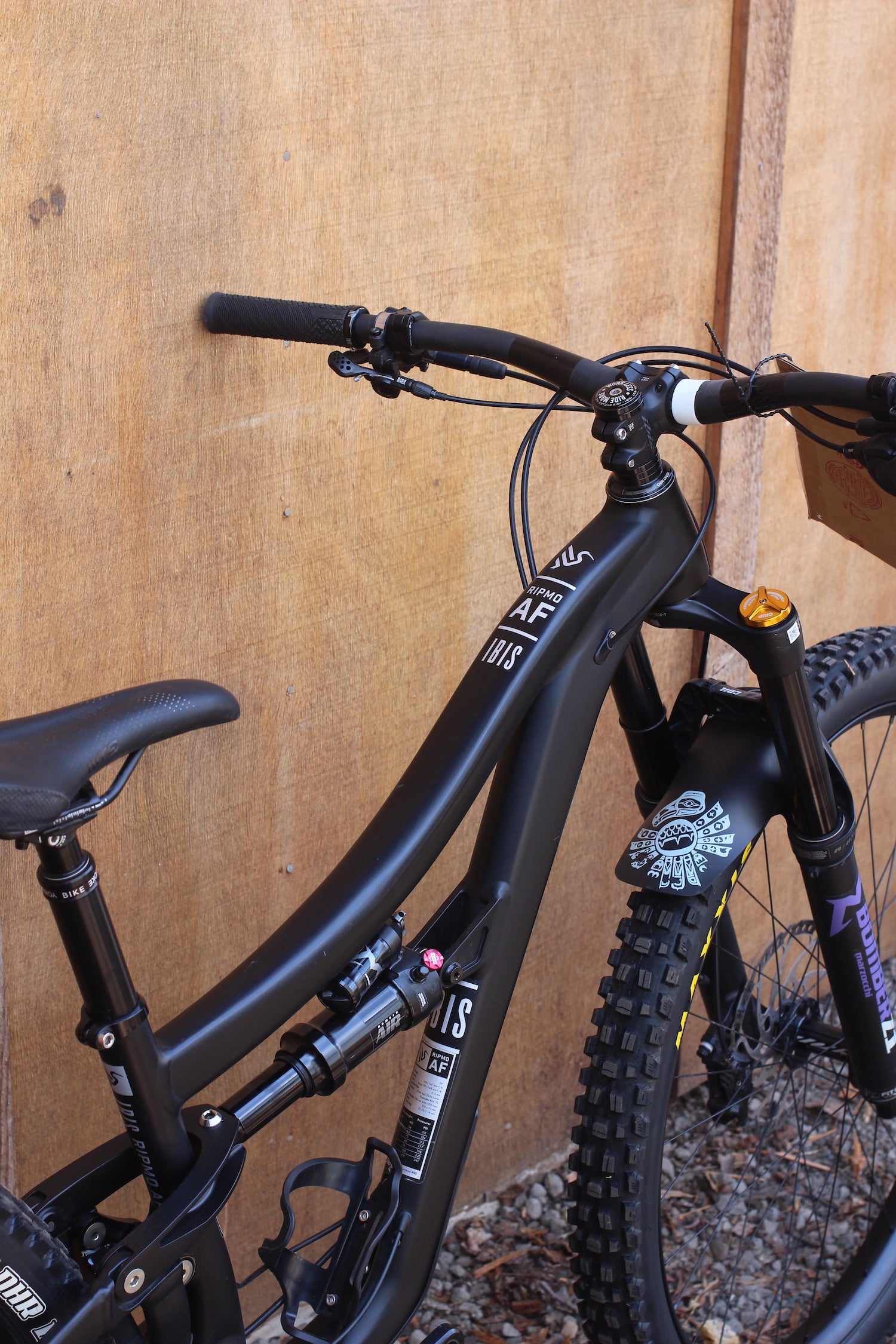 Ibis Ripmo AF - 2025 - Small