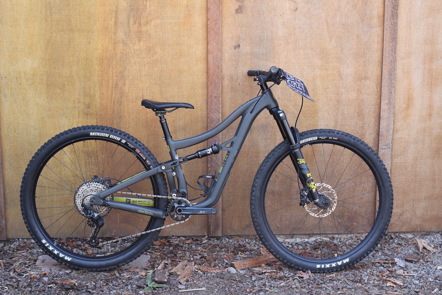 Ibis Ripley AF - 2025 - Small