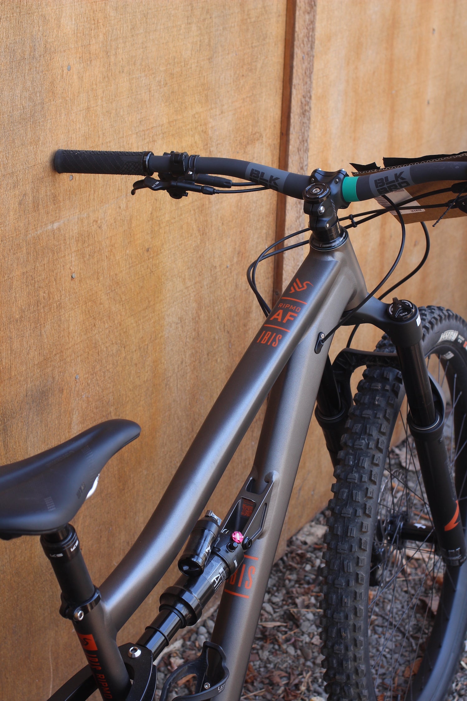 Ibis Ripmo AF - 2025 - Medium