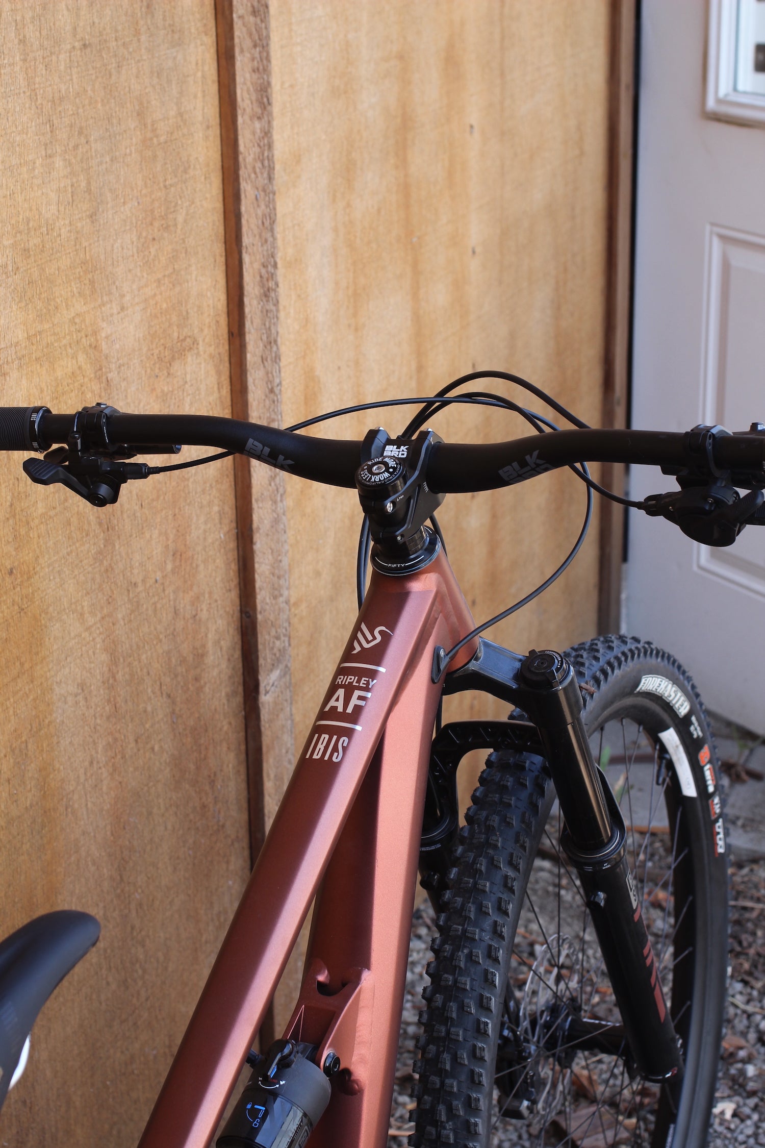 Ibis Ripley AF - 2025 - Medium