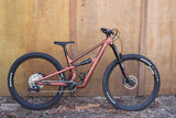 Ibis Ripley AF - 2025 - Medium