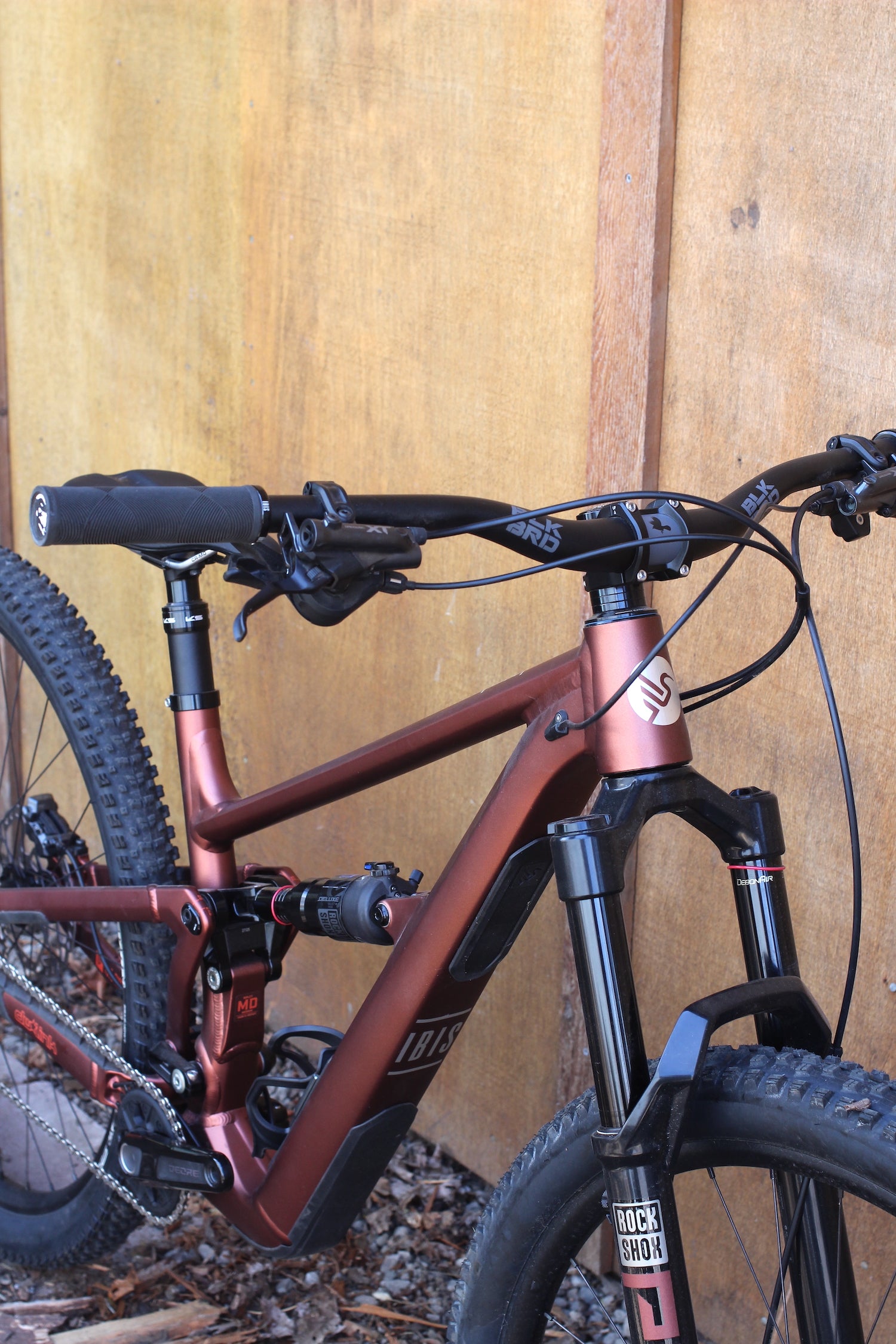 Ibis Ripley AF - 2025 - Medium