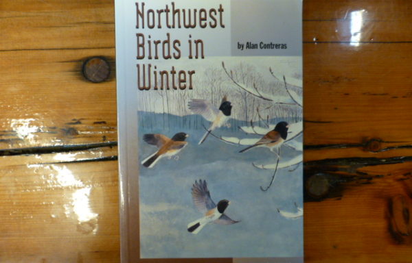 Northwest Birds in Winter By Alan Contreras