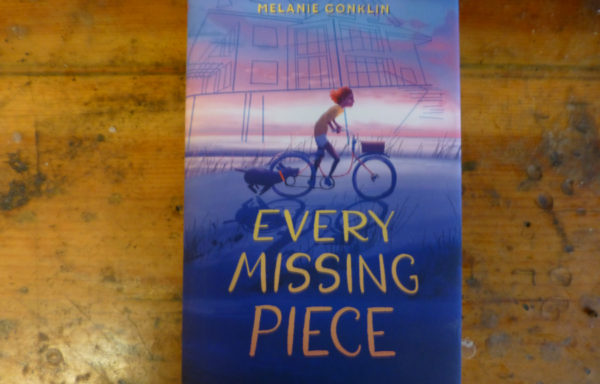 Every Missing Piece By Melanie Conklin
