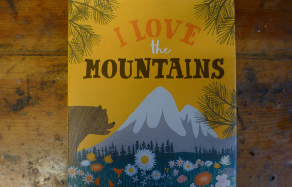 I Love the Mountains By Haily Meyers