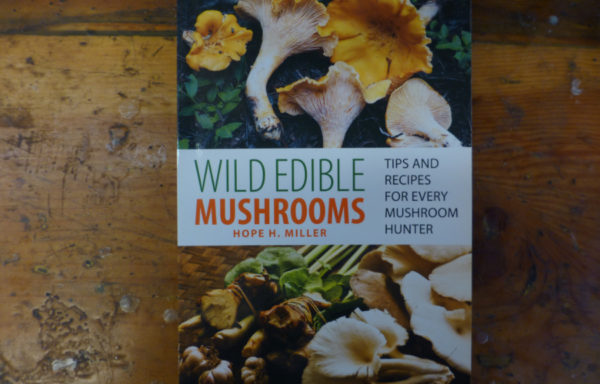 Wild Edible Mushrooms: Tips and Recipes for Every Mushroom Hunter By Hope H. Miller