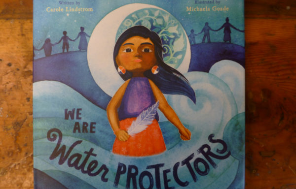 We Are Water Protectors Written By Carole Lindstrom Illustrated By Michaela Goade