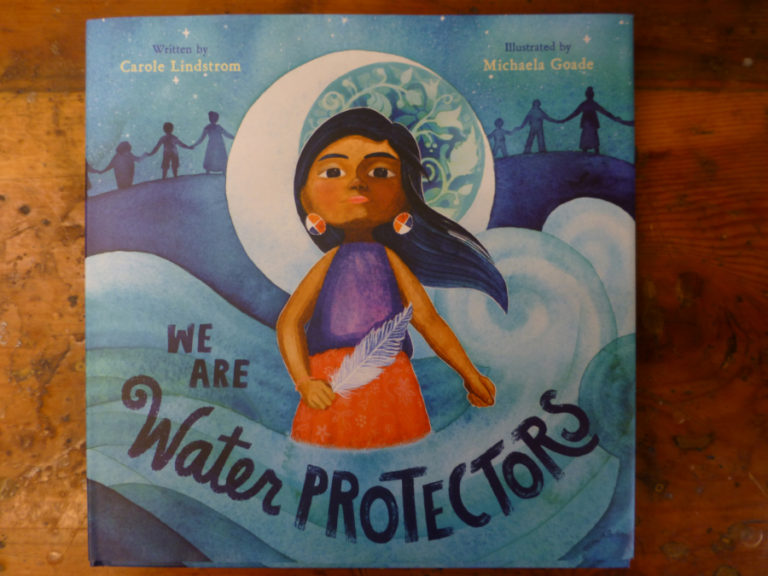 the water protectors book