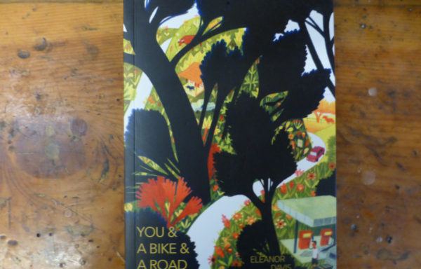 You and a Bike and A Road By Eleanor Davis