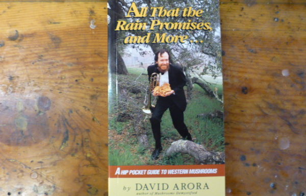 All That the Rain Promises and More: A Hip Pocket Guide to Western Mushrooms By David Arora