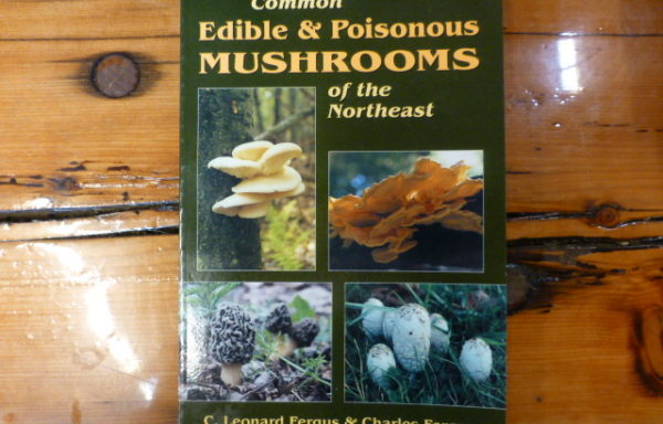 Common Edible and Poisonous Mushrooms for the Northeast By C. Leonard Fergus and Charles Fergus
