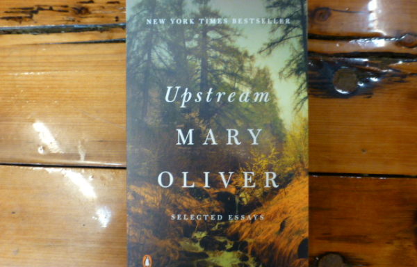 Upstream By Mary Oliver