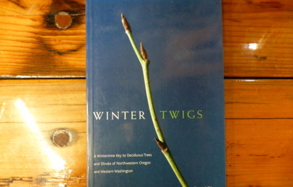 Winter Twigs By Helen M. Gilkey and Patricia L. Packard